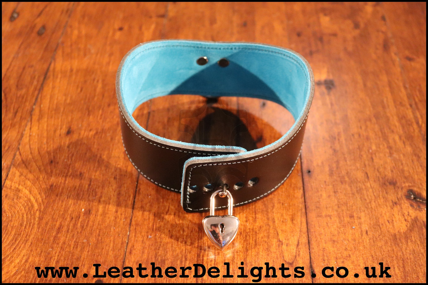 Black 2" Wide Contour Collar with Welded D Ring and Suede Lining