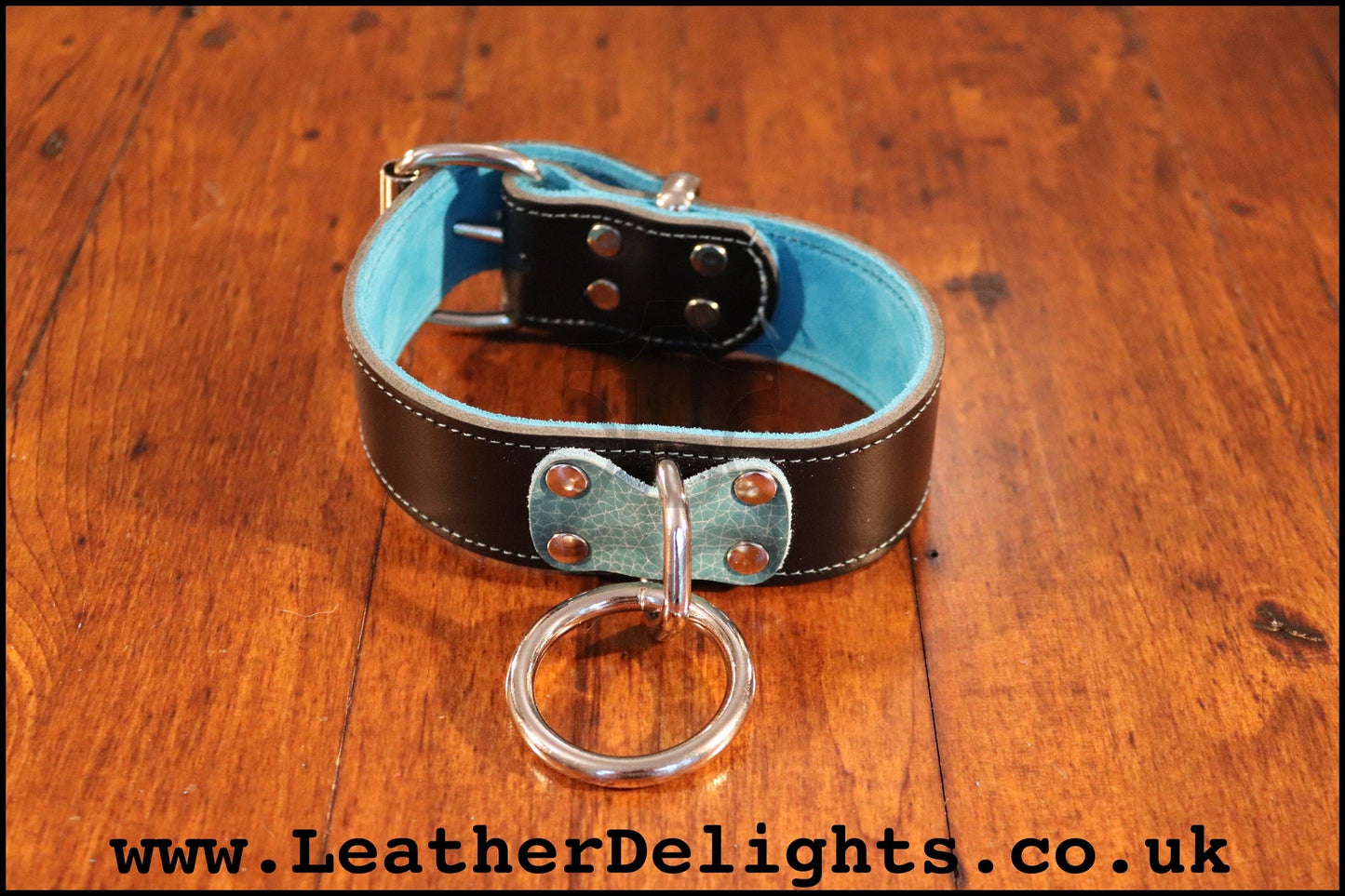 Heavy Duty Collar with Welded O Ring - Leather Delights