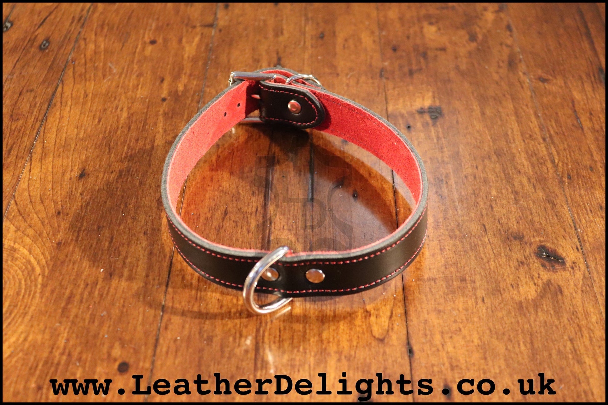 1" Wide Collar with Welded D Ring - Leather Delights