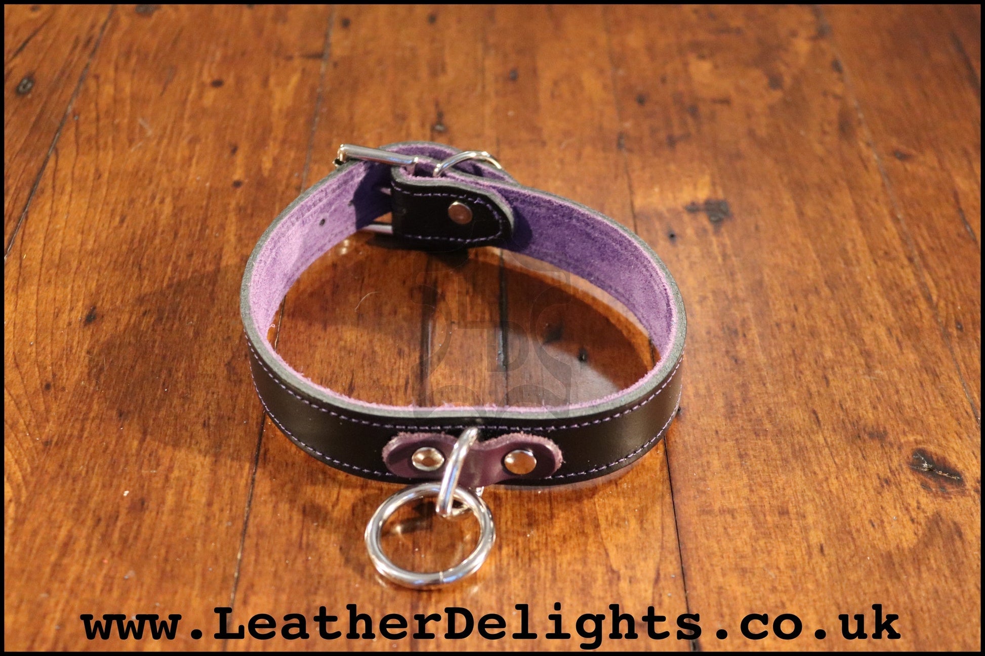 1" Wide Collar with Welded O Ring - Leather Delights