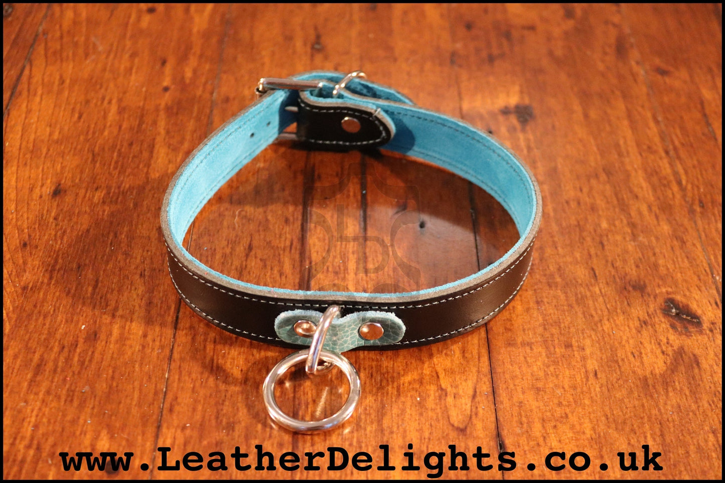 1" Wide Collar with Welded O Ring - Leather Delights