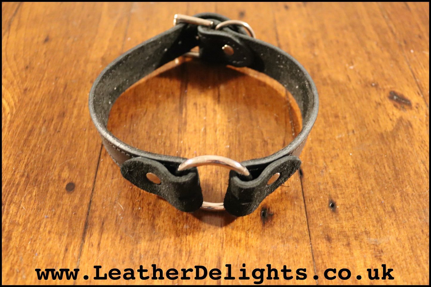 1" Wide O Ring Collar - Leather Delights