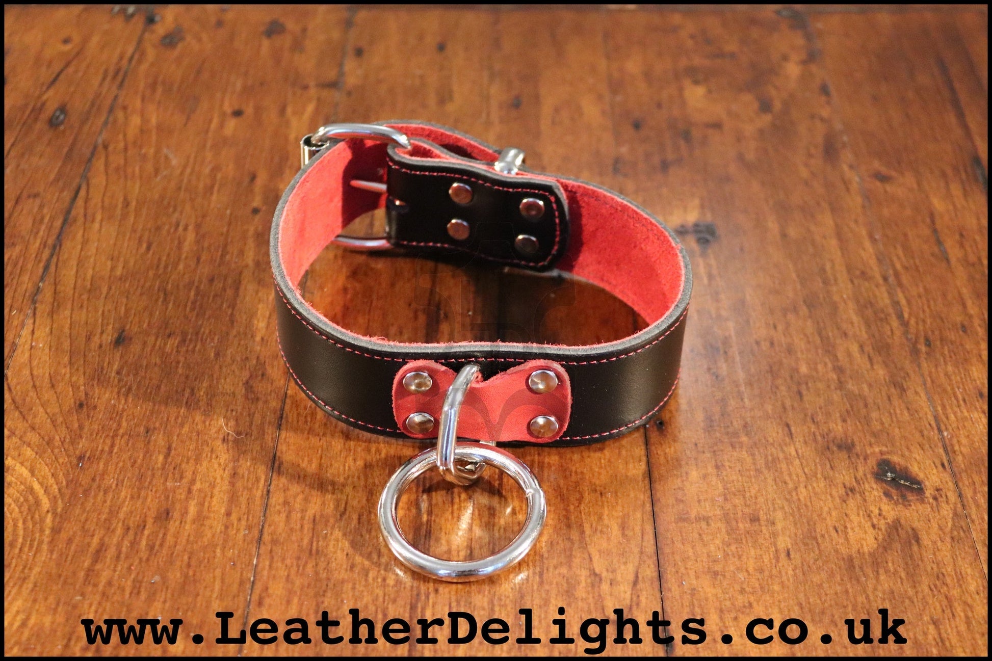 Heavy Duty Collar with Welded O Ring - Leather Delights
