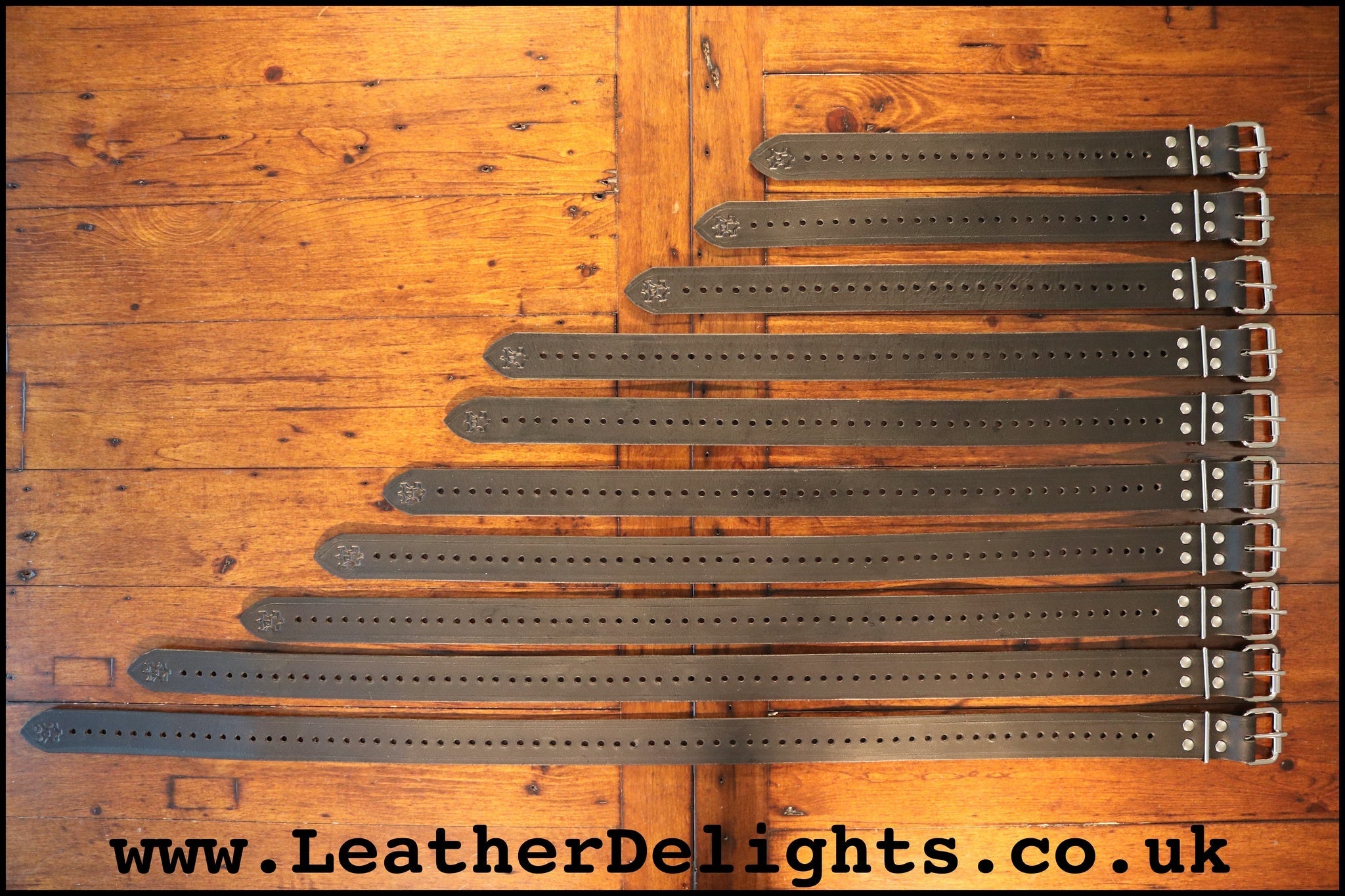 Restraint Straps Leather Delights