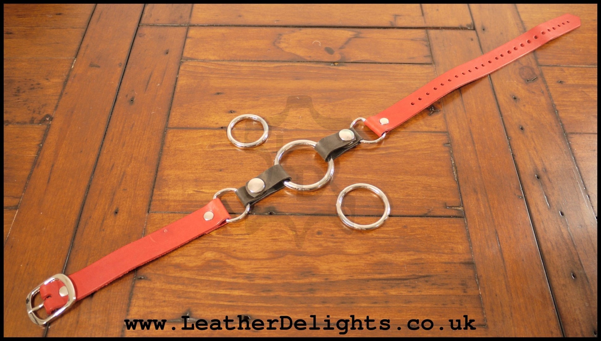 Ring Gag Set - Leather Delights